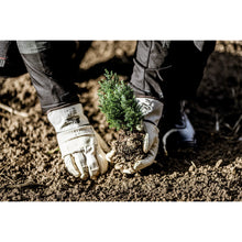 NITRAS celozrnné rukavice z hovězí kůže, přírodní barva / hnědá, EN 388 bavlna | Balení (12 párů)