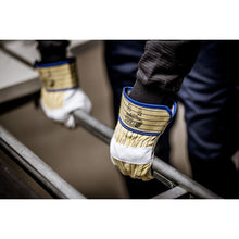 NITRAS POSEIDON, celozrnné rukavice z hovězí kůže, žluté / modré pruhy / šedé, EN 388 bavlna | Balení (12 párů)