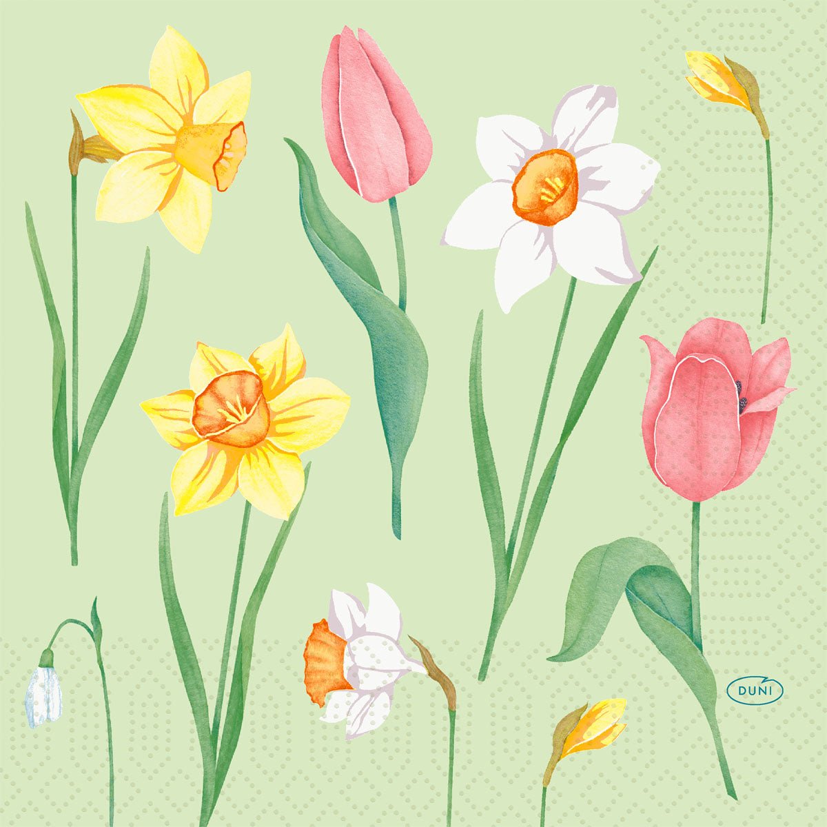 Ilustrace jarních květin jako žlutých narcisů, růžových tulipánů a sněženek na světlé zelené - ideální pro Duni GmbH ubrousky 33 cm 3vrstvé Spring Melody papírové ubrousky, balení s 250 kusy.