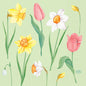 Ilustrace jarních květin jako žlutých narcisů, růžových tulipánů a sněženek na světlé zelené - ideální pro Duni GmbH ubrousky 33 cm 3vrstvé Spring Melody papírové ubrousky, balení s 250 kusy.
