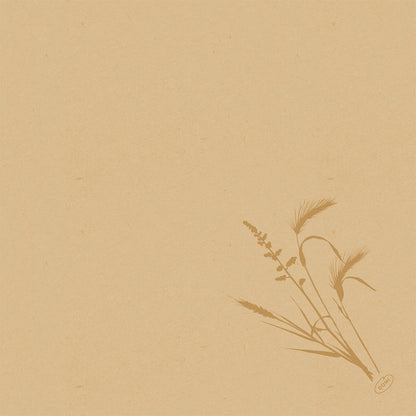 Béžový strukturovaný papír s jednoduchou hnědou botanickou ilustrací trávy v pravém dolním rohu. Ideální pro prezentaci Duni GmbH Bio-Dunisoft-Serv. 40x40cm. Zbytek stránky je prázdný.