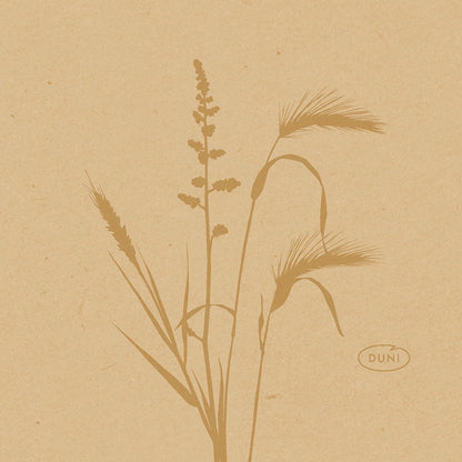 Minimalistická ilustrace divokých trav a rostlin v hnědých tónech zdobí tyto 20x20cm velké bio-Dunisoft ekologické ubrousky od Duni GmbH, s nápisem "DUNI" v oválu vpravo dole na strukturovaném světle hnědém pozadí.