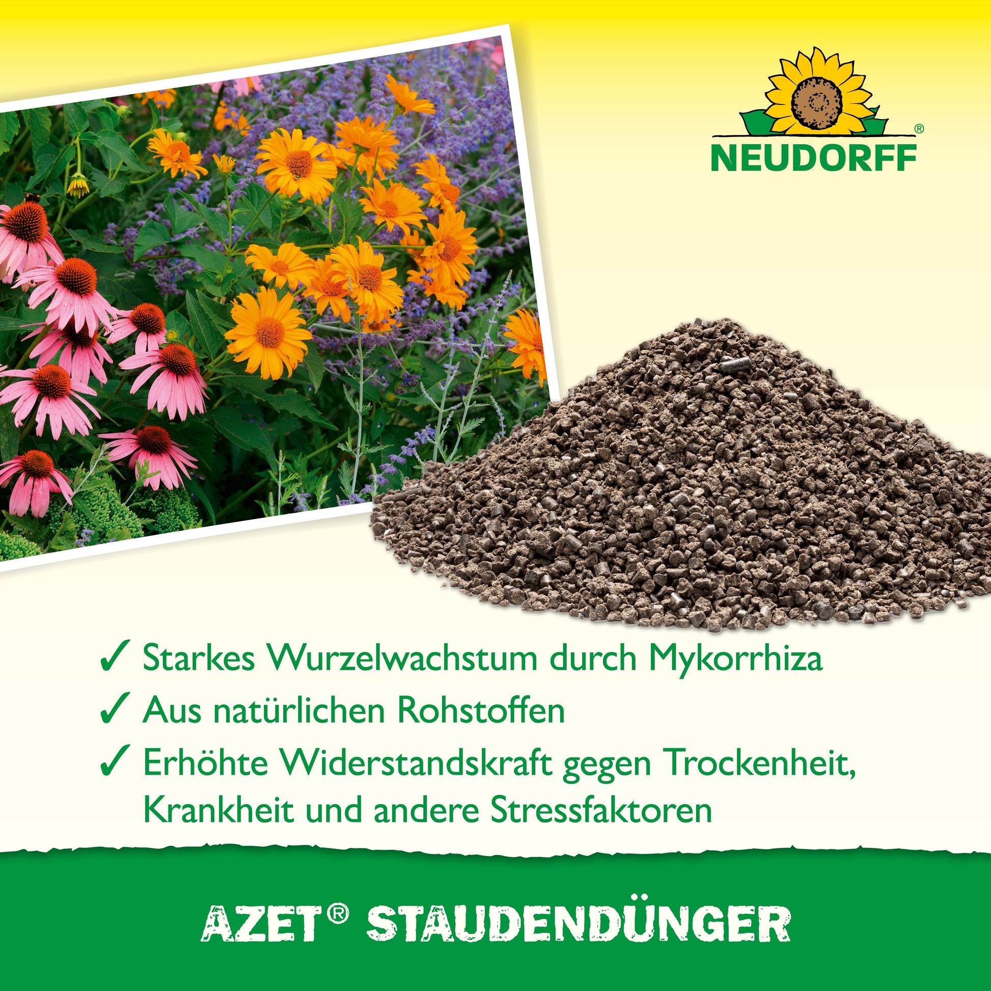 Ein Haufen Azet StaudenDünger vom Neudorff Shop liegt im Garten neben blühenden Stauden. Das Bild zeigt das Neudorff-Logo und hebt Vorteile wie besseres Wurzelwachstum, natürliche Zutaten und höhere Widerstandskraft hervor.