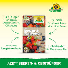 Abgebildet ist eine Schachtel Neudorff Shop Azet Beeren- & ObstDünger für Erdbeeren und Beerensträucher mit einem Text, der die lang anhaltende Wirkung, den verbesserten Fruchtgeschmack und die Sicherheit für Mensch und Tier hervorhebt.