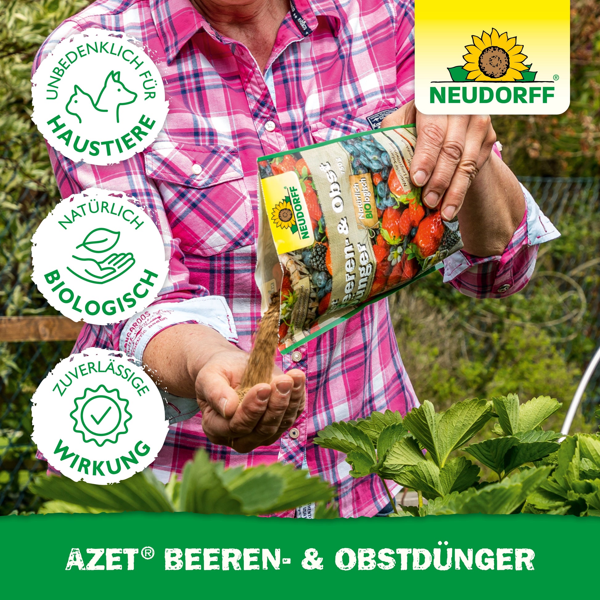 Eine Person in einem karierten Hemd schüttet Azet Beeren- & ObstDünger aus einer Tüte des Neudorff Shops auf Erdbeeren. Drei Icons auf der linken Seite betonen die Sicherheit für Haustiere, die biologischen Inhaltsstoffe und die zuverlässige Wirksamkeit.