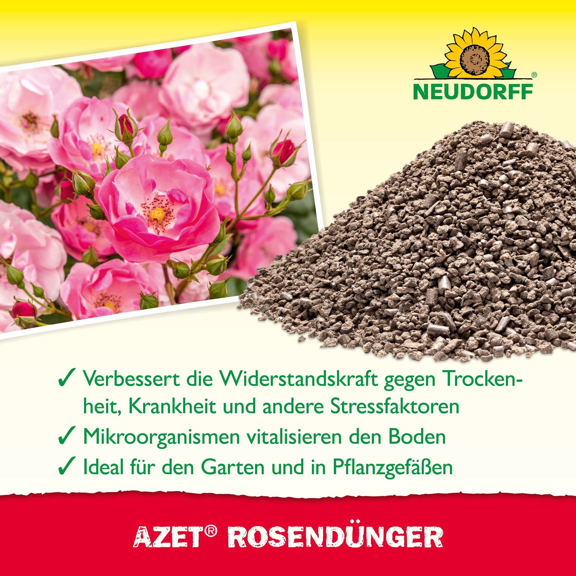 Eine Produktabbildung für Azet RosenDünger aus dem Neudorff Shop zeigt Bio-Granulat RosenDünger, blühende Rosen und deutsche Produktvorteile wie stärkere Stressresistenz und gesündere Böden.