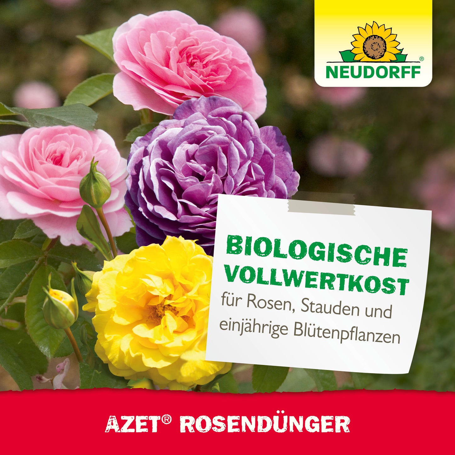 Das Etikett von Neudorff Shop Azet RosenDünger zeigt rosa, violett und gelb blühende Rosen und hebt die Vorteile des organischen Düngers für Rosen, Stauden und einjährige blühende Pflanzen hervor.