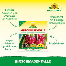 Produktbild für KirschmadenFalle von Neudorff Shop, mit Kirschen und grünem Text, der darauf hinweist, dass es insektizidfrei ist, vor der Kirschfruchtfliege schützt und einen speziellen Klebstoff für eine erfolgreiche Kirschernte verwendet.