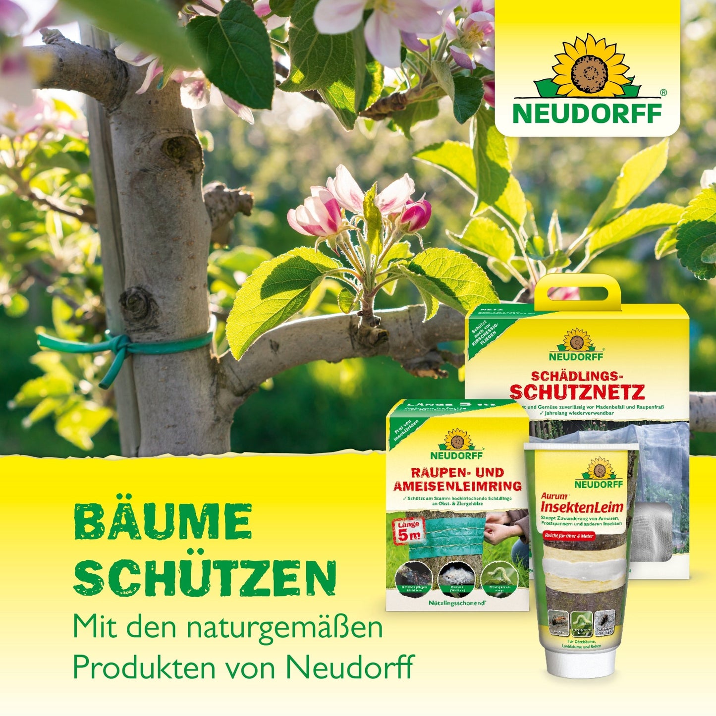 Organická stromová barva