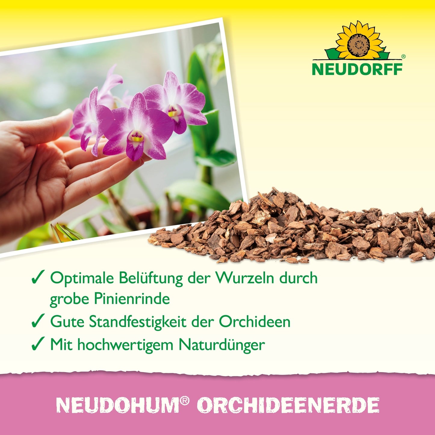 Ruka drží kvetoucí orchidej u okna, před ní leží hrubá borová kůra. Text ukazuje NeudoHum OrchideenErde z Neudorff Shop - perfektní pro péči o orchideje, provzdušnění kořenů a jako přírodní hnojivo při přesazování.