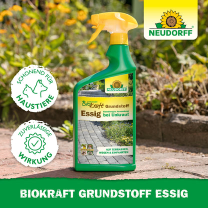 Eine Sprühflasche mit Neudorff BioKraft Grundstoff Essig aus dem Neudorff Shop steht auf einem Gartenweg, umgeben von Gras und Blumen. Das Etikett betont die Sicherheit von Haustieren und die effektive Unkrautentfernung für saubere Terrassen.