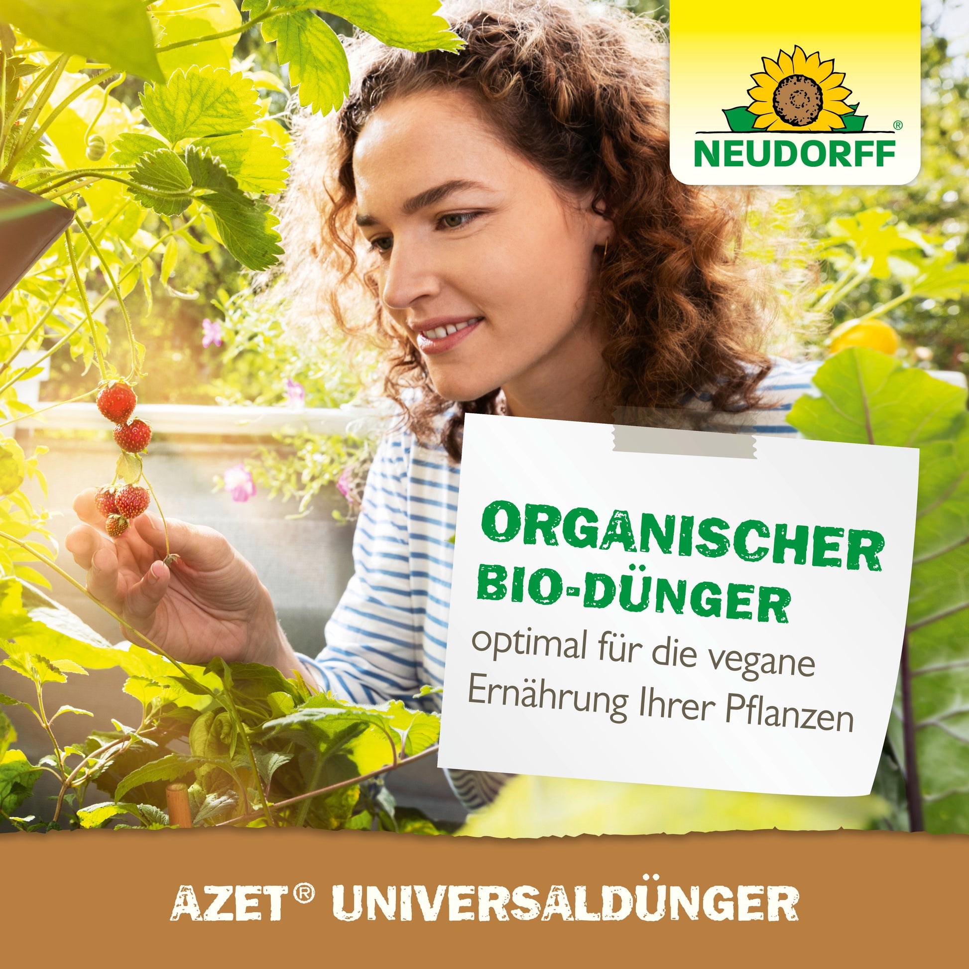 Eine Frau inspiziert Erdbeerpflanzen in einem üppigen Garten, in dem der Azet UniversalDünger flüssig von Neudorff Shop verwendet wird - ein veganer Flüssigdünger mit optimalen Nährstoffen für alle Pflanzen. Der deutsche Text betont die universelle Anwendung und die ausgewogene Ernährung.
