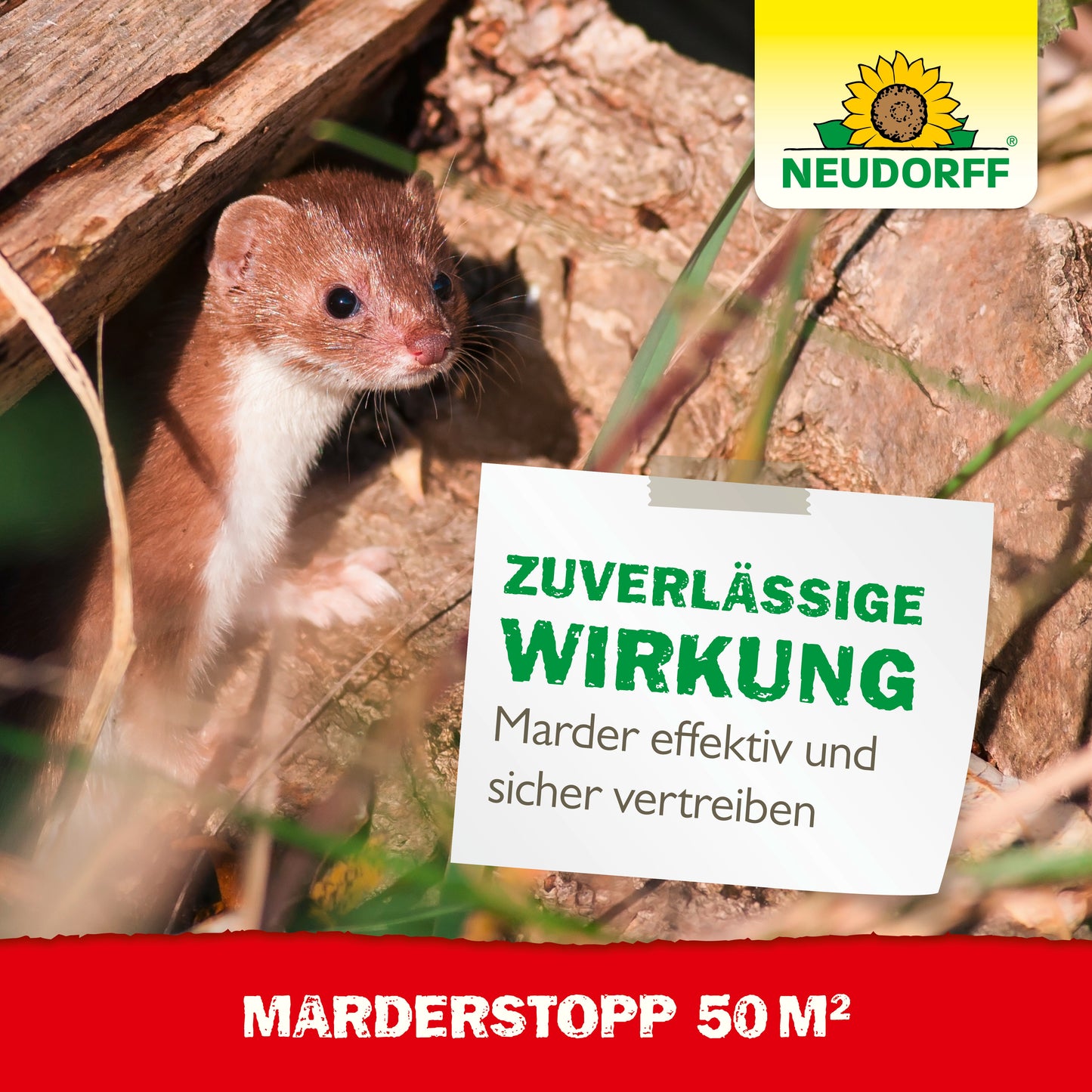 Ein wieselartiges Tier steht an Holzscheiten im Freien. Auf einem deutschen Schild steht: "Zuverlässige Wirkung - Marder effektiv und sicher vertreiben." Neudorff Shop-Logo oben rechts, "MarderStopp 50m2" unten; schützt mit Ultraschalltechnik.
