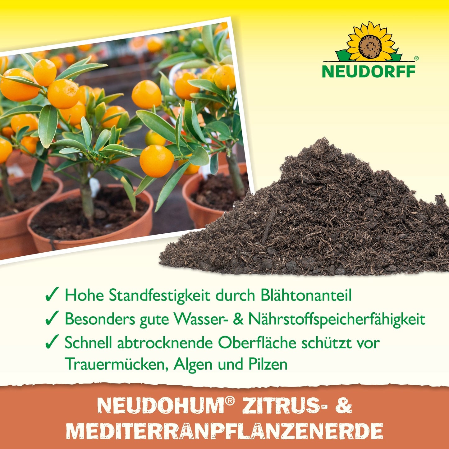 NeudoHum Citrus a půda středomořských rostlin