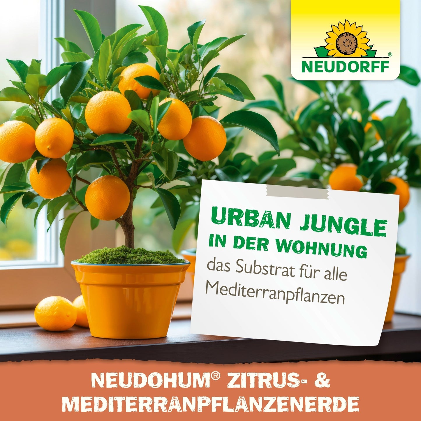 NeudoHum Citrus a půda středomořských rostlin