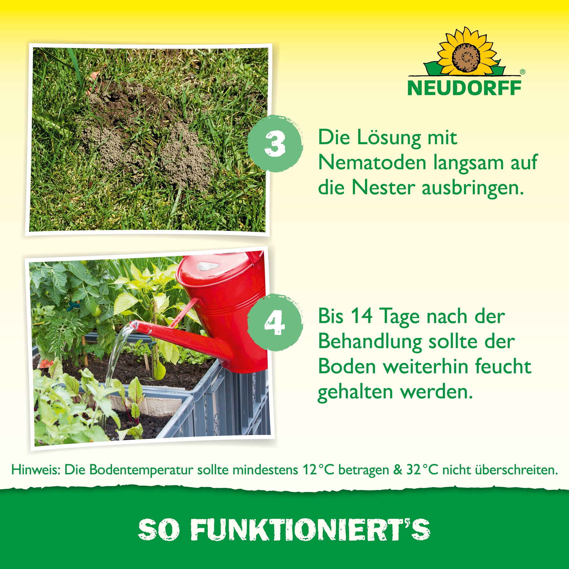 Ein Foto-Guide mit Neudorff-Shop-Branding zeigt die Anwendung von Nützlingen gegen Ameisen auf dem Gartenbeet und veranschaulicht, wie man Ameisennester mit Nematoden behandelt und den Boden bis zu 14 Tage lang feucht hält, um Ameisen zu bekämpfen.