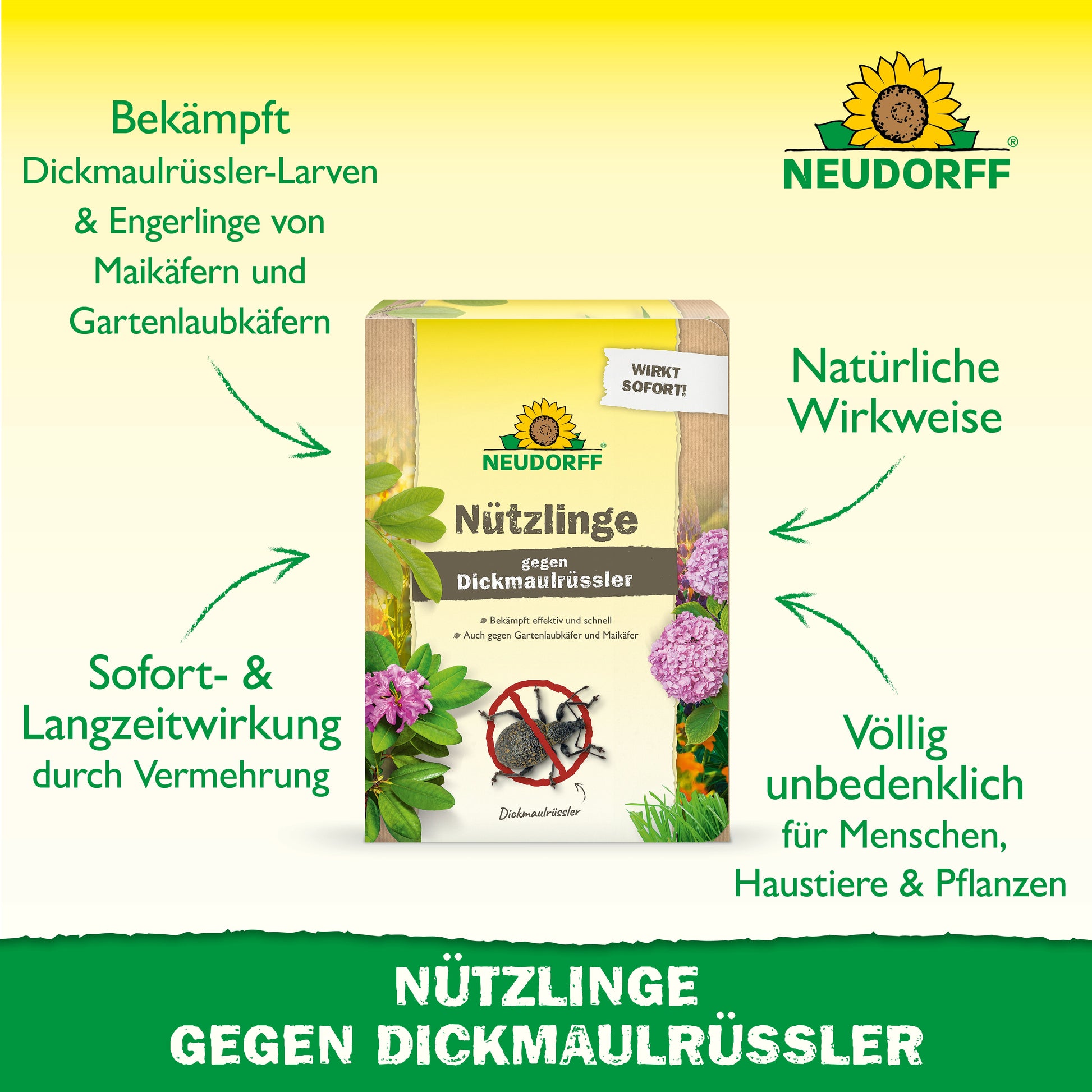 Im Mittelpunkt steht eine Packung "Nützlinge gegen Dickmaulrüssler" von Neudorff Shop, die natürliche Schädlingsbekämpfung mit Nematoden. Grüne Pfeile heben die natürlichen, sicheren und wirksamen Eigenschaften auf Deutsch hervor.