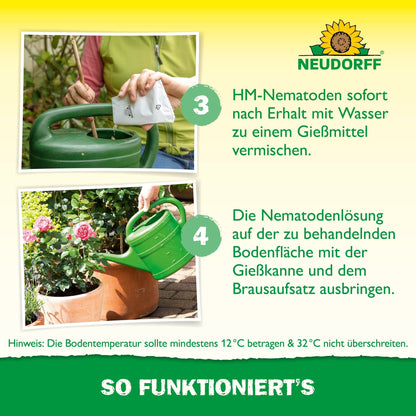 Osoba míchá užitečné organismy proti lalokonoscům od Neudorff Shop s vodou v zelené konvičce, aby bojovala proti larvám, a nalévá roztok na půdu. Obrázek ukazuje pokyny a informace v němčině.
