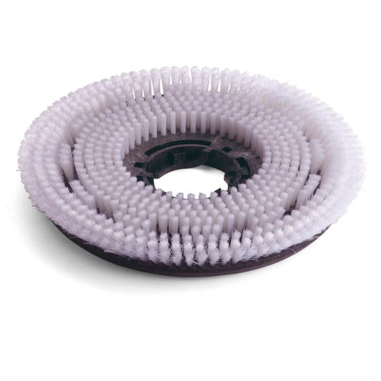 Numatic Octo Nylon Scrub Brush 300mm pro TTV678/TVL850 | Balení (1 kus)