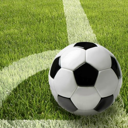 Černobílý fotbalový míč leží na zeleném trávníku u bílé čáry - ideální pro sportovní stolní dekoraci s PAPSTAR 20 ubrousky, 33x33cm, 3-vrstvé, 4er Set od PAPSTAR GmbH na vaší příští akci.