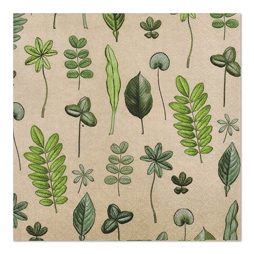 20 ubrousků PAPSTAR GmbH (33 x 33 cm, třívrstvé, 1/4 skládání, Design Set 6) jsou béžové, čtvercové ubrousky s ručně kresleným zeleným listovým a botanickým vzorem.