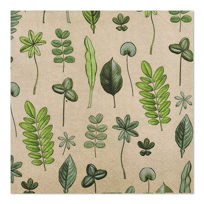 20 ubrousků PAPSTAR GmbH (33 x 33 cm, třívrstvé, 1/4 skládání, Design Set 6) jsou béžové, čtvercové ubrousky s ručně kresleným zeleným listovým a botanickým vzorem.