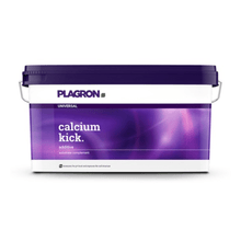 Obdélníková 10kg plastová nádoba od firmy Bertels B.V. s nápisem „Plagron Calcium Kick“ má fialové víčko a rukojeť s barevným přechodem; tento minerální přípravek na zlepšení půdy zlepšuje strukturu půdy a působí jako regulátor pH.