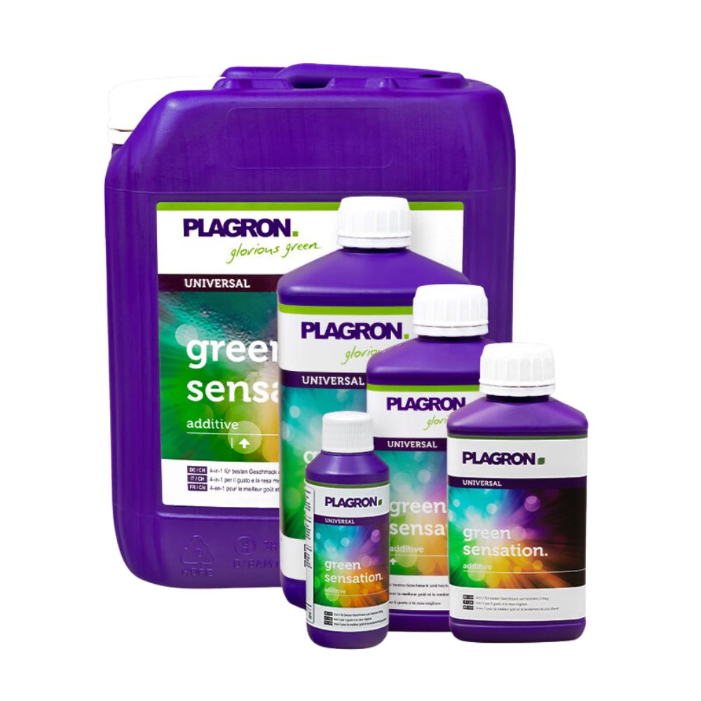 Pět lahví Plagron Green Sensation od Bertels B.V. v různých velikostech zvyšuje kvalitu rostlin. Fialové lahve s bílými uzávěry a zeleno-bílými etiketami zlepšují kvalitu sklizně, přičemž největší je vzadu.