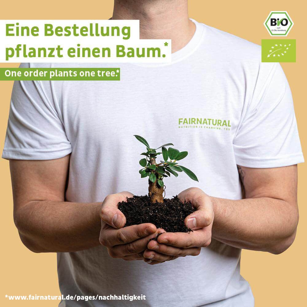 Bio veganský proteinový prášek mango bez sóji