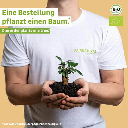 Bio veganský proteinový prášek mango bez sóji