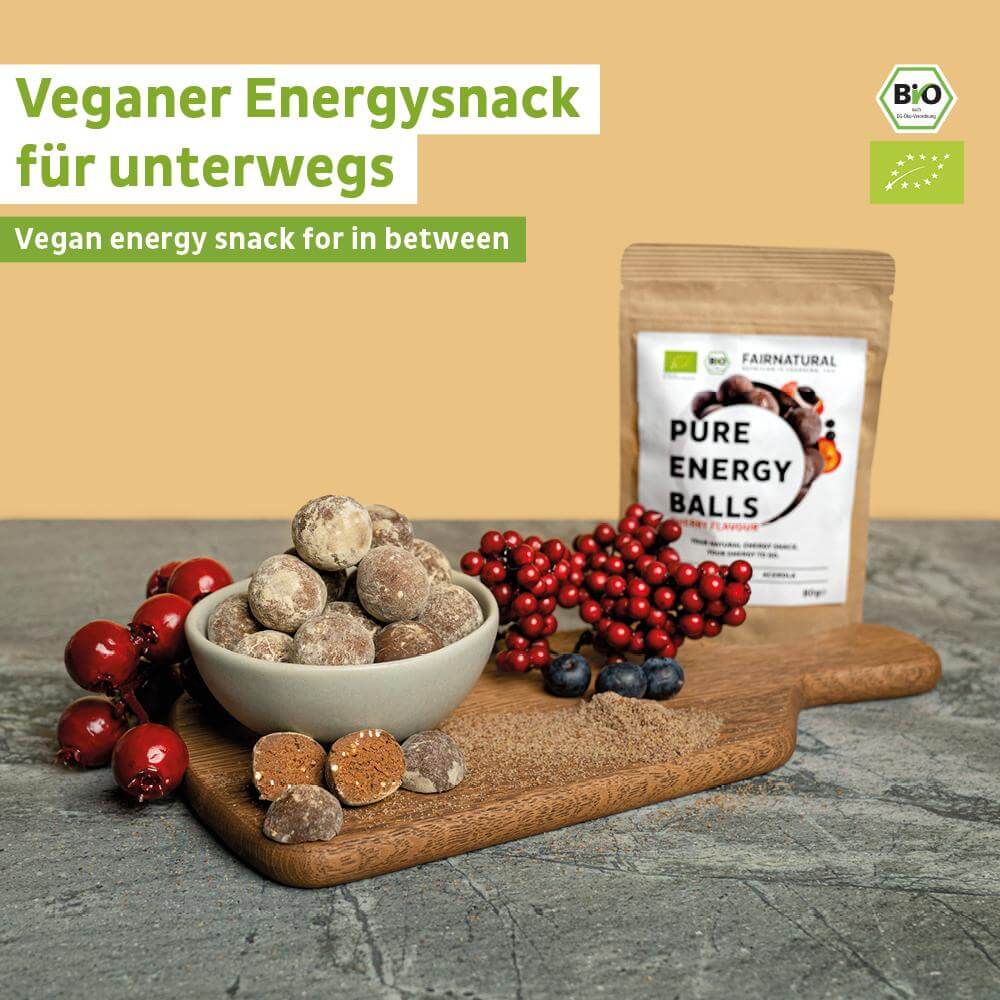 Organické energetické koule