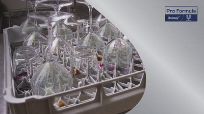 Sun Professional Realider Water for Hartwasser, Saurer Clearer Canister (5 l)